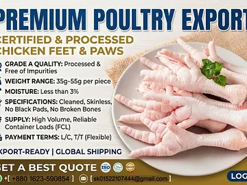 PREMIUM Chicken Feet