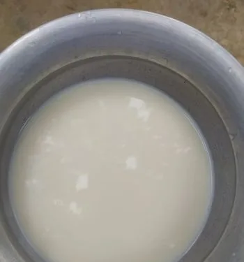 গরুর খাটি দুধ।