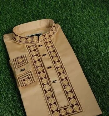 Embroidery Panjabi