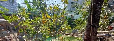 রংপুরের প্রাণকেন্দ্রে ৪ শতক জমি