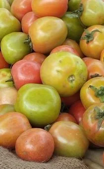 কাচামাল সবজি বিক্রি হবে