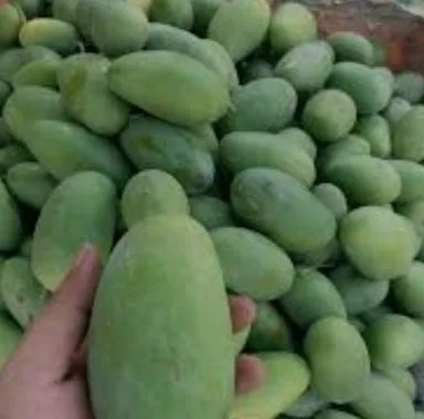 সুস্বাদু কাঁচা আম