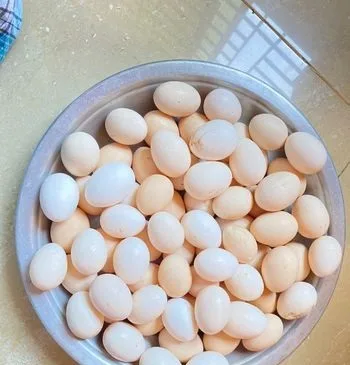 দেশি মুরগির ডিম