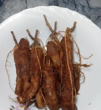 গাছ পাকা তেঁতুল