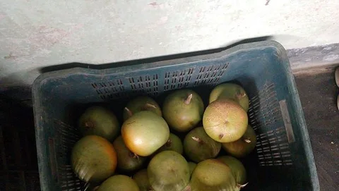 বেল