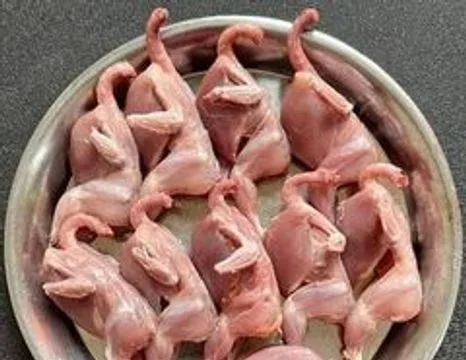 কোয়েল পাখির মাংস
