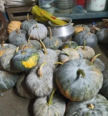 মিষ্টি কুমড়া