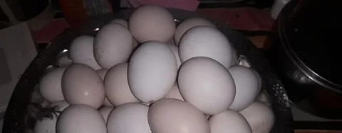 দেশি মুরগির ডিম