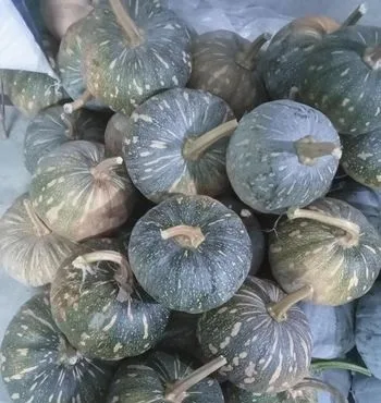 মিষ্টি কুমড়া