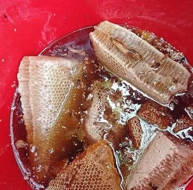 চাকের মধু