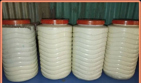 দেশী গরুর দুধের ক্রিম