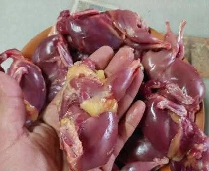 কোয়েল পাখির মাংস