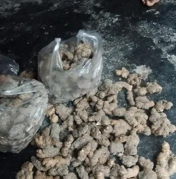 আদা
