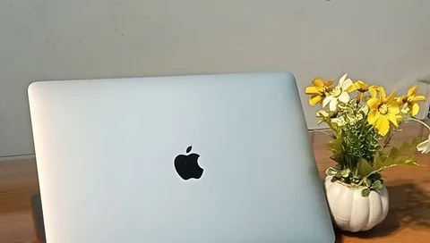 Macbook pro m1 256ssd 16gb ram