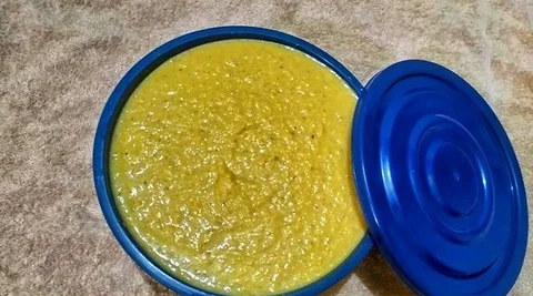 Cat Wet Food
