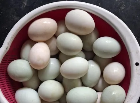 দেশি হাসের ডিম