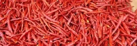 শুকনো মরিচ পাইকারি মূল্যে
