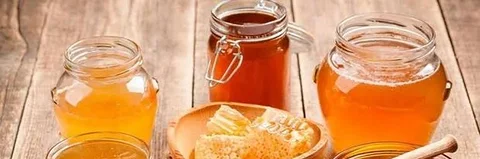 সুন্দরবনের খলিসা ফুলের মধু