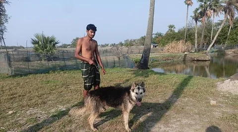জার্মান শেফার্ড