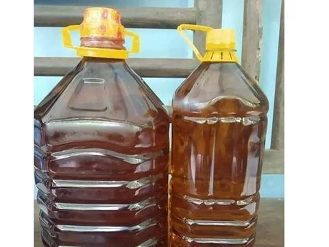 খাটি সরিসার তৈল
