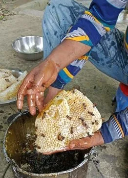 ফুলের মধু