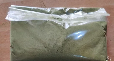 সজনে পাতার গুঁড়ো