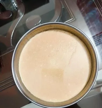 ঘরোয়া তৈরি দই