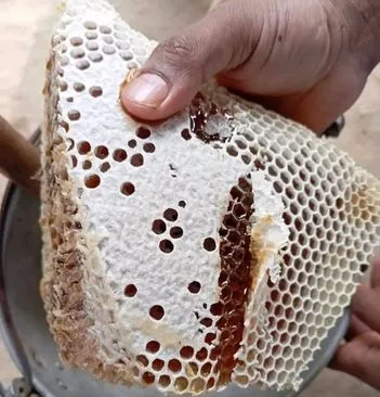 চাকের খাটি মধু