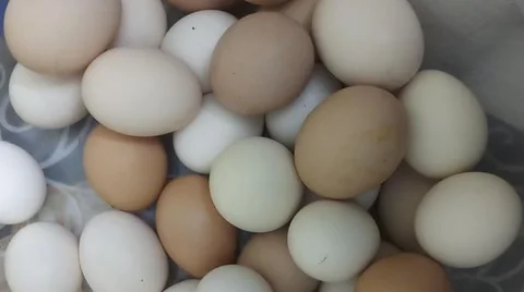 দেশি মুরগির ডিম