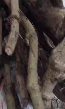 চুই ঝাল