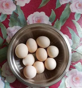 মুরগীর ডিম