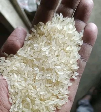 পাইকারি চাউল