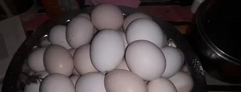 দেশি মুরগির ডিম