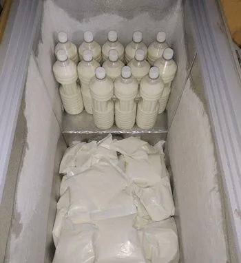 Original Milk