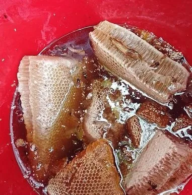 চাকের মধু