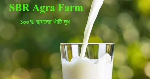 ছাগলের দুধ