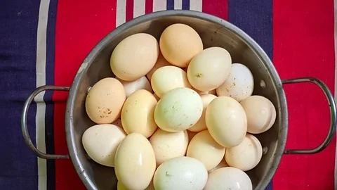 Pakistani Mugir Dim