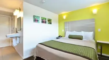 রুজভেল্ট রুমমেট