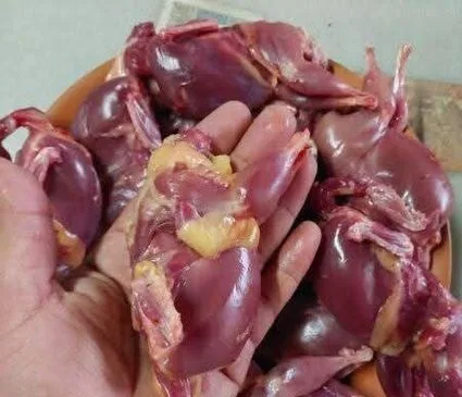কোয়েল পাখির মাংস