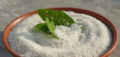 তুলশীমালা চাল