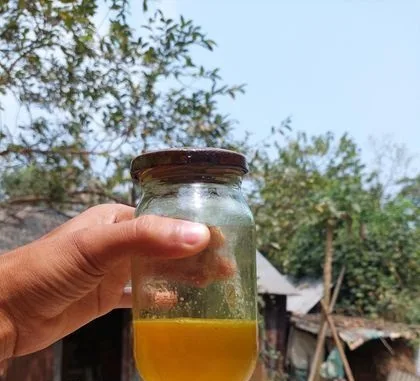 ঘি
