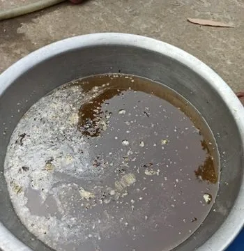 মধু