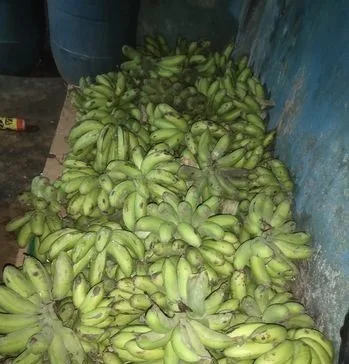 অনুপম কলা