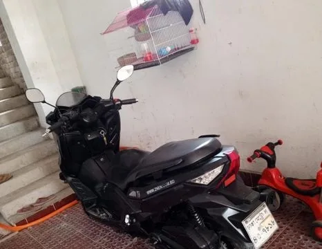 Scooter 2019