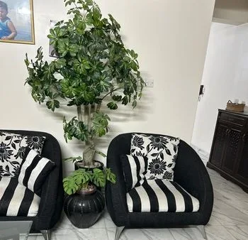 Sofa with Carpet