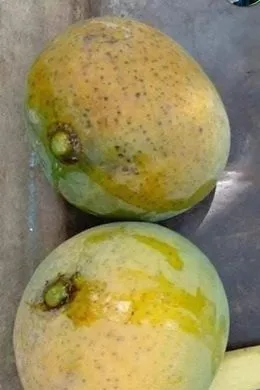 আম