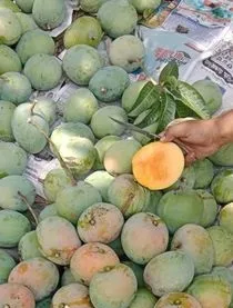 সুস্বাদু আম