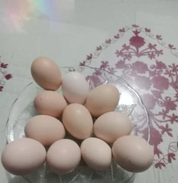 দেশি মুরগির ডিম