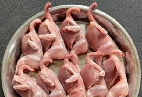 কোয়েল পাখির মাংস