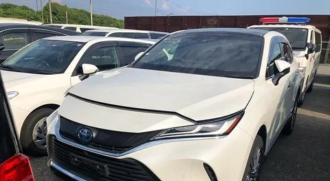 Z LEATHER HYBRID 2020